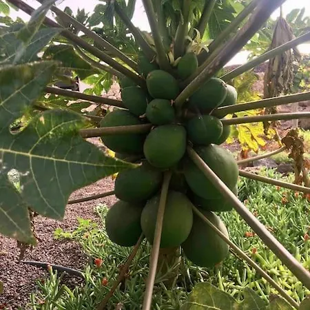 Eka 2 Appartamento La Oliva